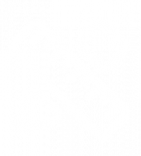 design design